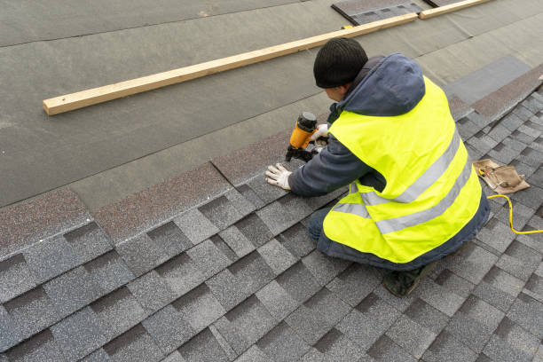Best Metal Roofing Contractor  in Valdez, AK